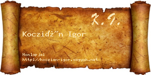 Koczián Igor névjegykártya